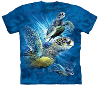 Find 9 Sea Turtles available now at Novelty EveryWear!